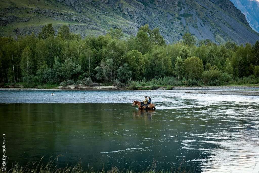 Конь переплывает реку