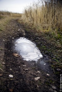 Застывшая лужа