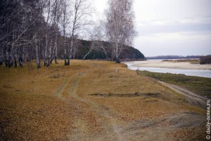Берег реки