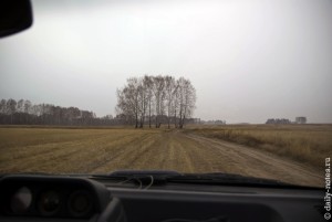 Русское поле