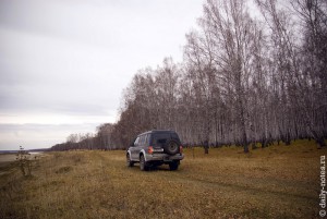 Машинка в лесу