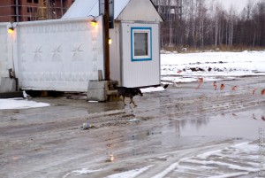 Будка сторожа проспекта