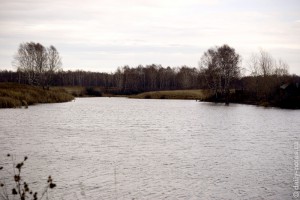 Озеро в Красногорском