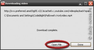 Видео с youtube скачалось