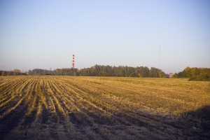 Поля рядом с микрорайоном Родники