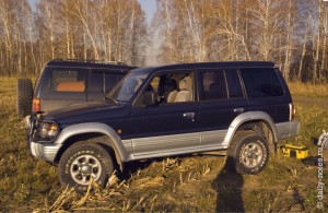 Новый вариант окон собачатника