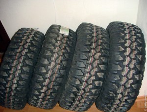 MAXXIS Bighorn 762