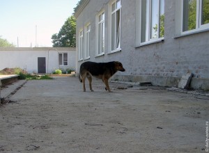 Малыш