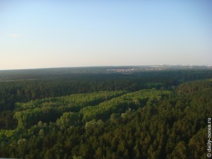 Вид на Заельцовский пар с крыши близлежащего дома