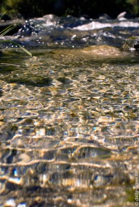 Чистая вода горной реки
