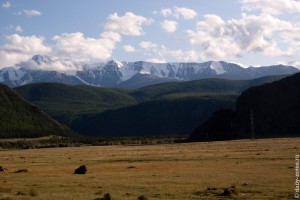 Природа Алтая