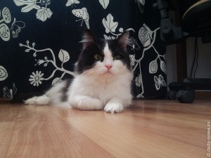 Фотография, сделанная Galaxy Note (N7000)
