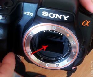 Sony alpha 200, датчик автофокуса