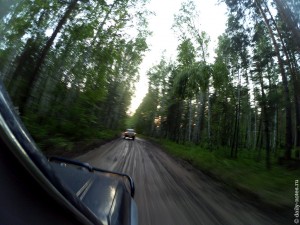 Дорога в лесу