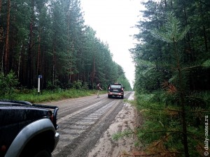 Дорога в Караканском бору после дождя