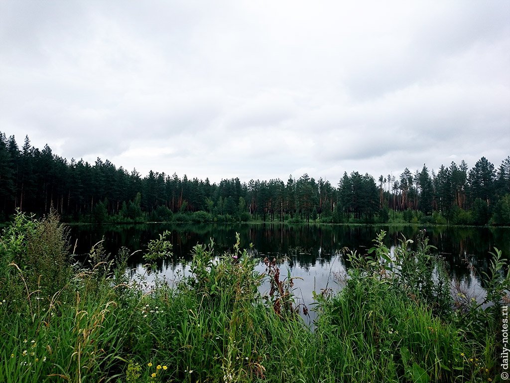 Озеро среди деревьев в Караканском бору
