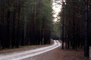 Въезд в Караканский бор
