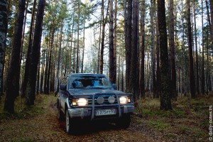 Внедорожник Mitsubishi Pajero в лесу