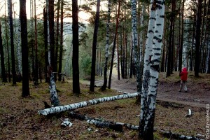 Крутой холм в лесу