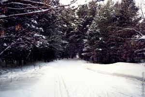 Первая городская лыжня