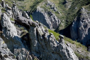 Урочище Аккурум, каменные грибы