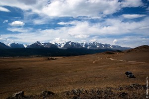 Курайская степь