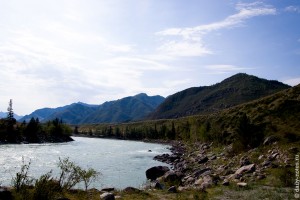 Берег Катуни