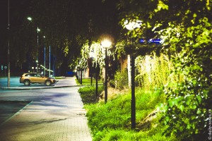 Территория Технопарка в Новосибирском Академгородке