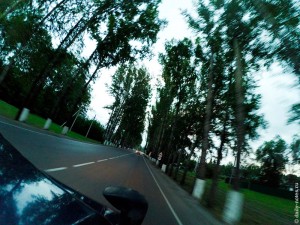 Красивая аллея в Новокузнецке