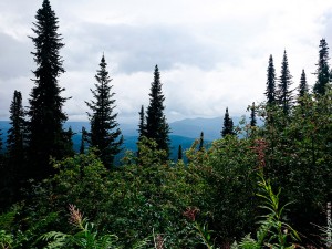 Дорога через Хакасию