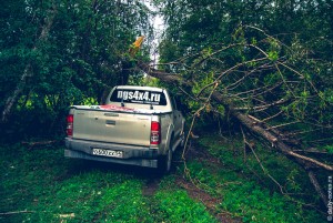 Hilux штурмует деревья