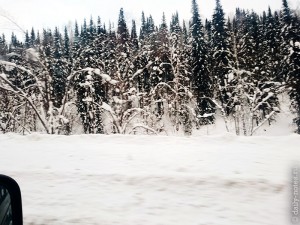 Дорога в поселок Шерегеш