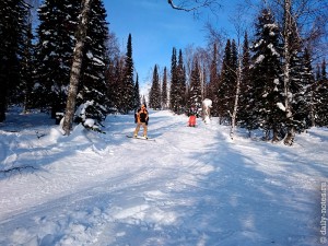 Трассы среди деревьев в Шерегеше
