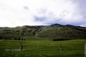 Покрытые зеленью горы рядом с Улаганом