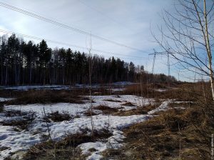 Выехали к ЛЭП 500кв