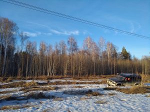 Тянем-потянем...