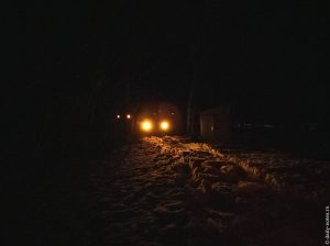 Глазеют в ночи